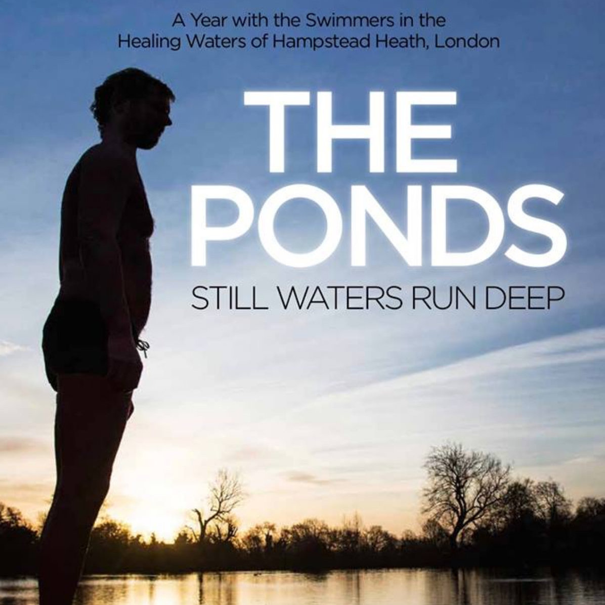 The Ponds