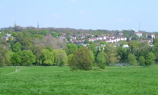 Hampstead_Heath_550x330