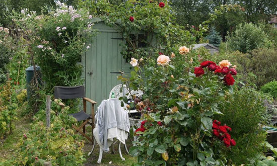 allotment1