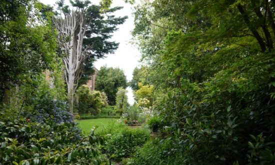garden-4-resized-min