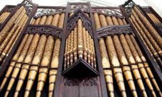 organ