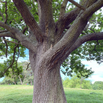 IMG_9674 IMG_9674