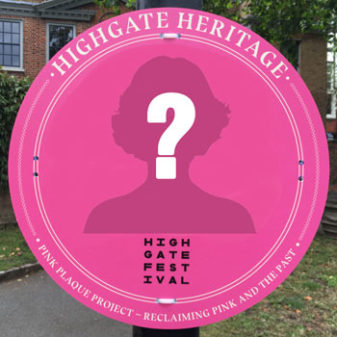 pinkplaquequiz pinkplaquequiz
