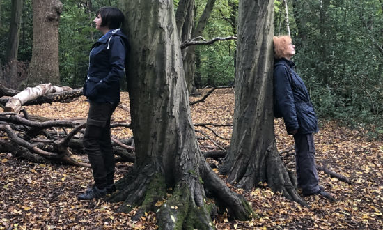 forest-bathing