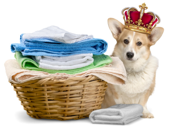 The Queen's Laundry