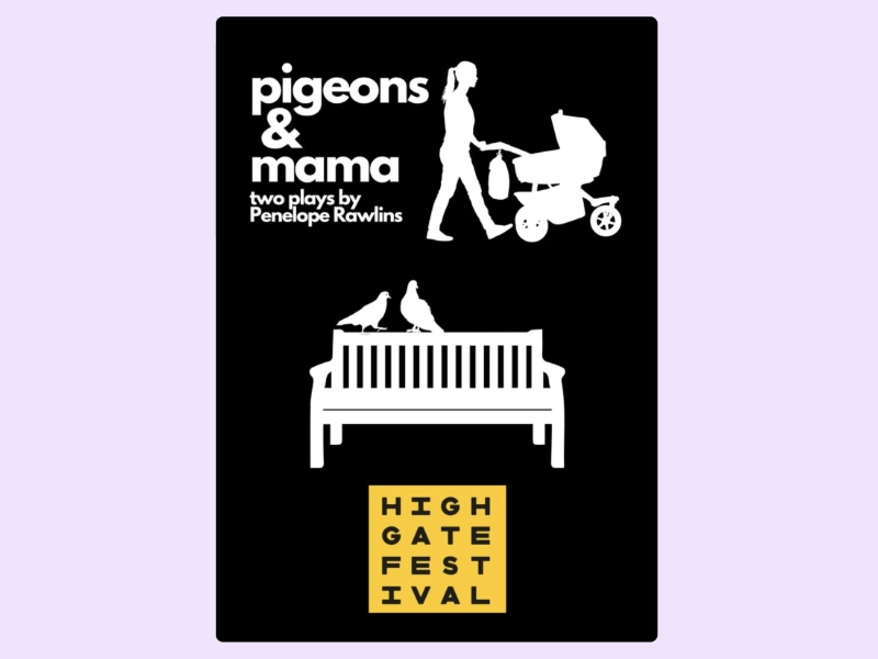 Pigeons and Mama